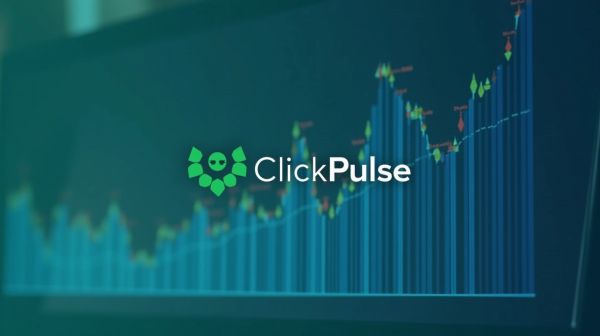 Améliorez vos campagnes PPC avec clickpulse